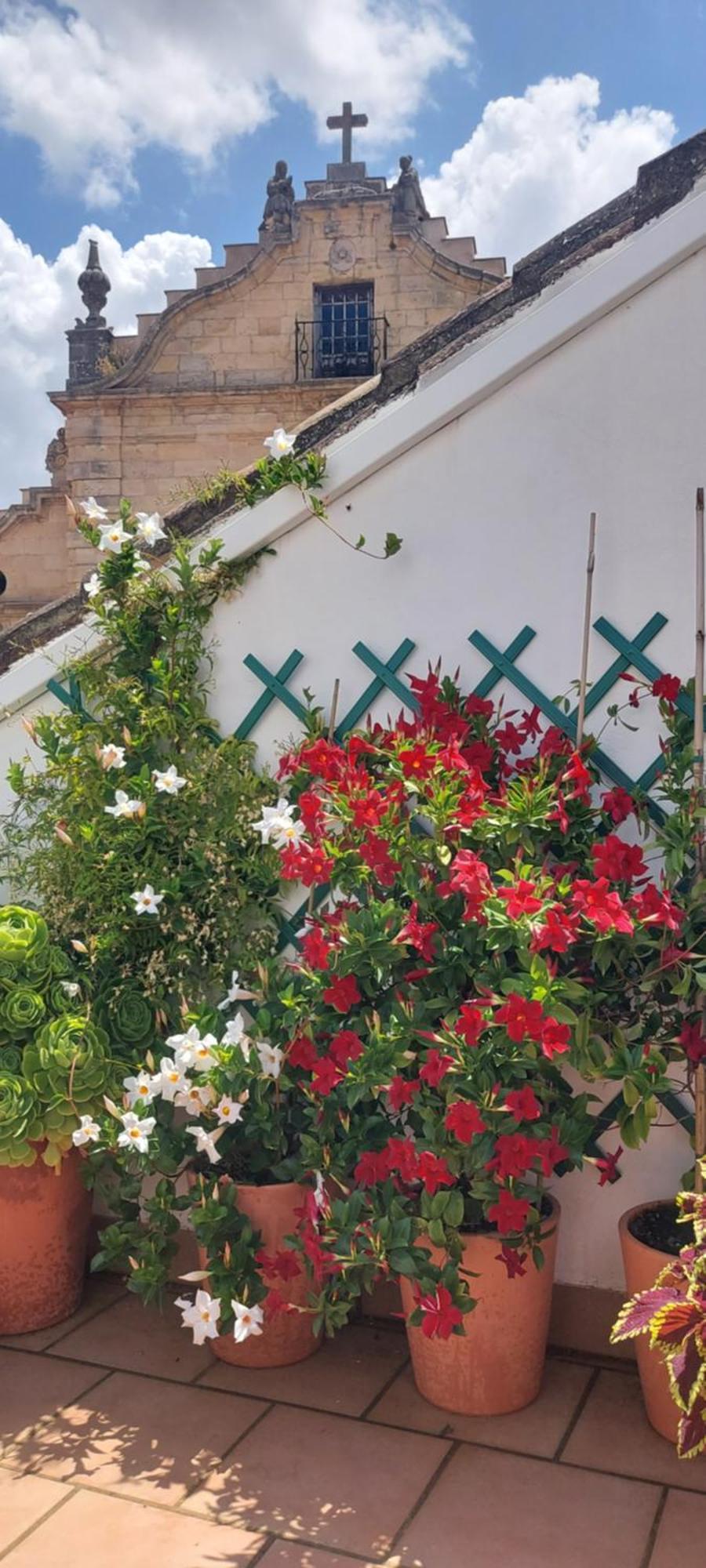 Apartamentos Los Descalzos Angel With Private Terrace Free Parking Ронда Экстерьер фото