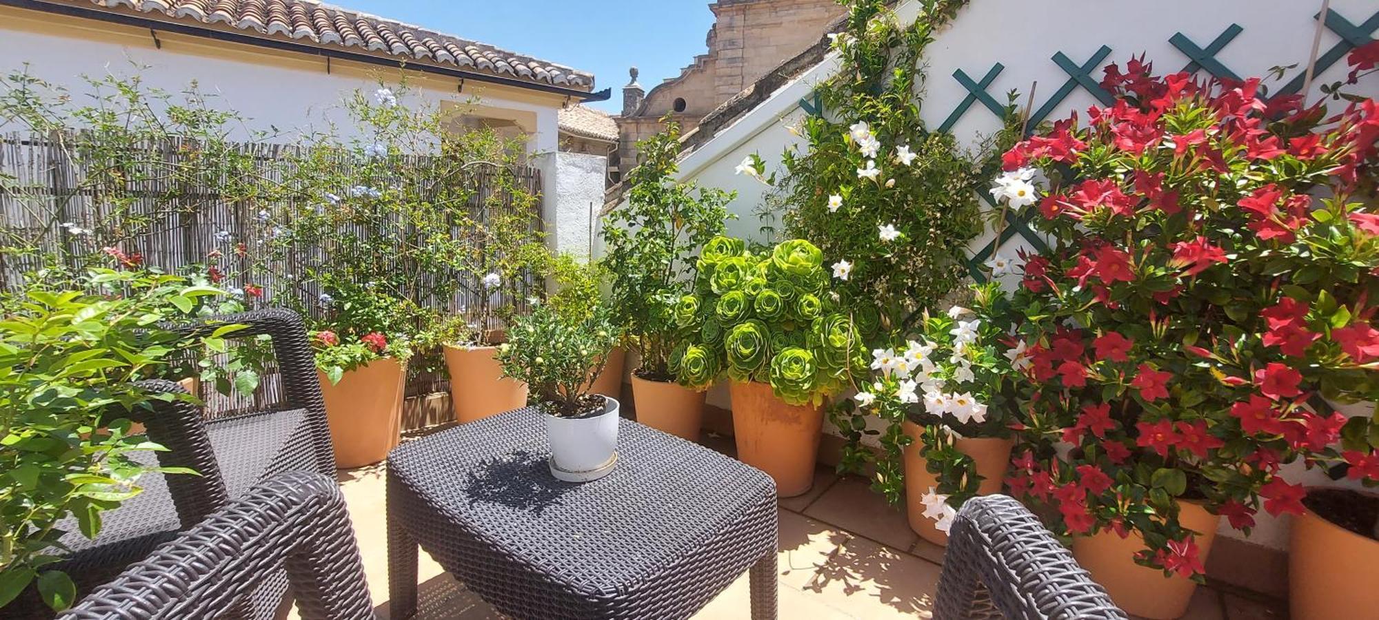 Apartamentos Los Descalzos Angel With Private Terrace Free Parking Ронда Экстерьер фото
