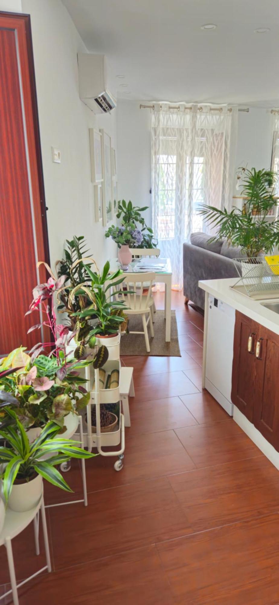 Apartamentos Los Descalzos Angel With Private Terrace Free Parking Ронда Экстерьер фото