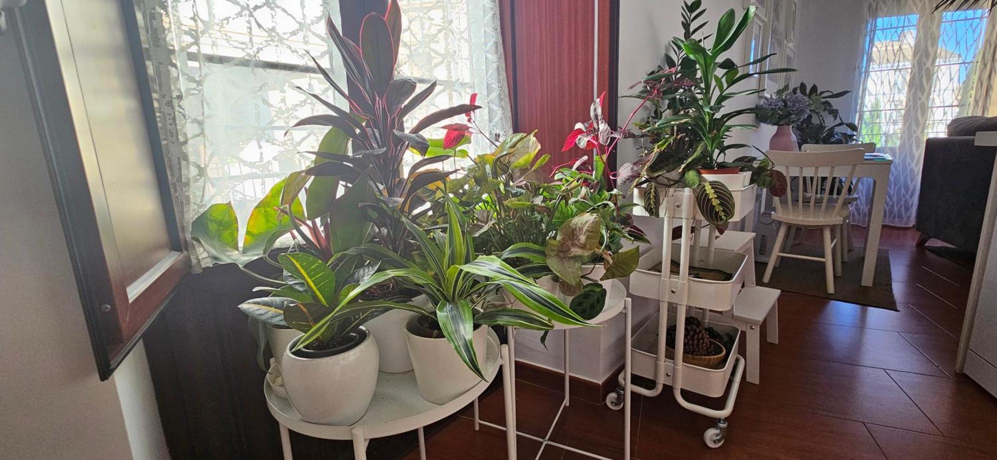 Apartamentos Los Descalzos Angel With Private Terrace Free Parking Ронда Экстерьер фото