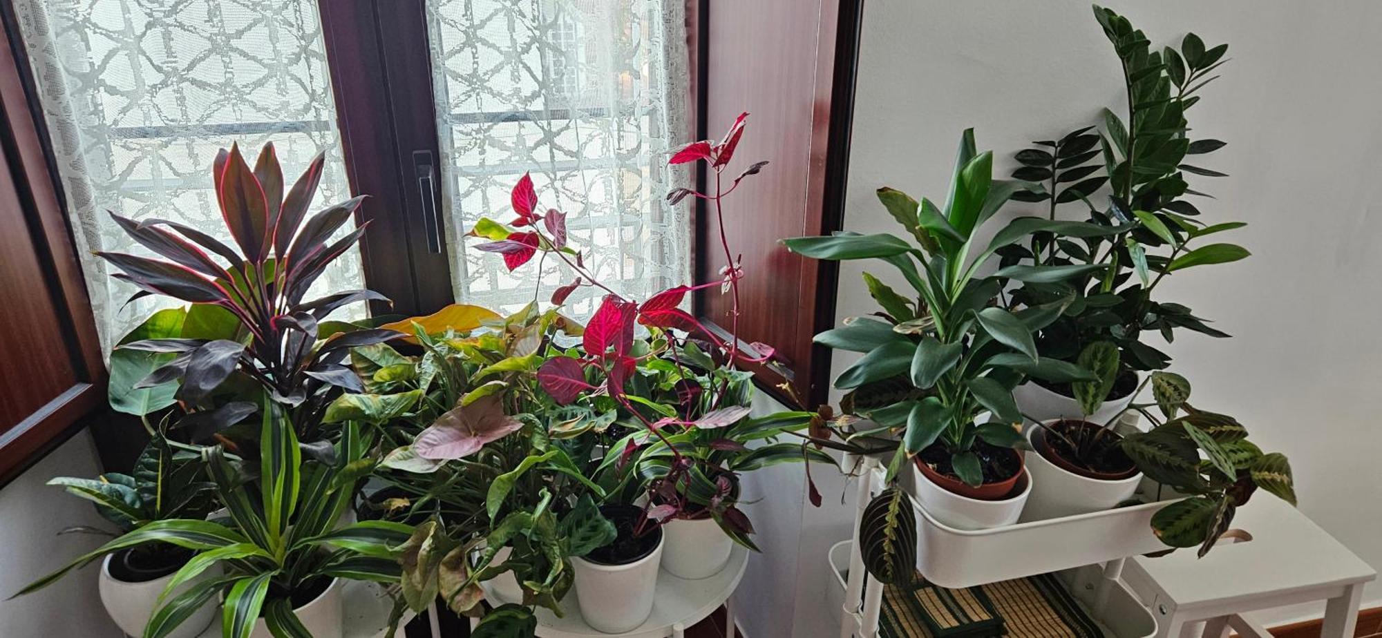 Apartamentos Los Descalzos Angel With Private Terrace Free Parking Ронда Экстерьер фото