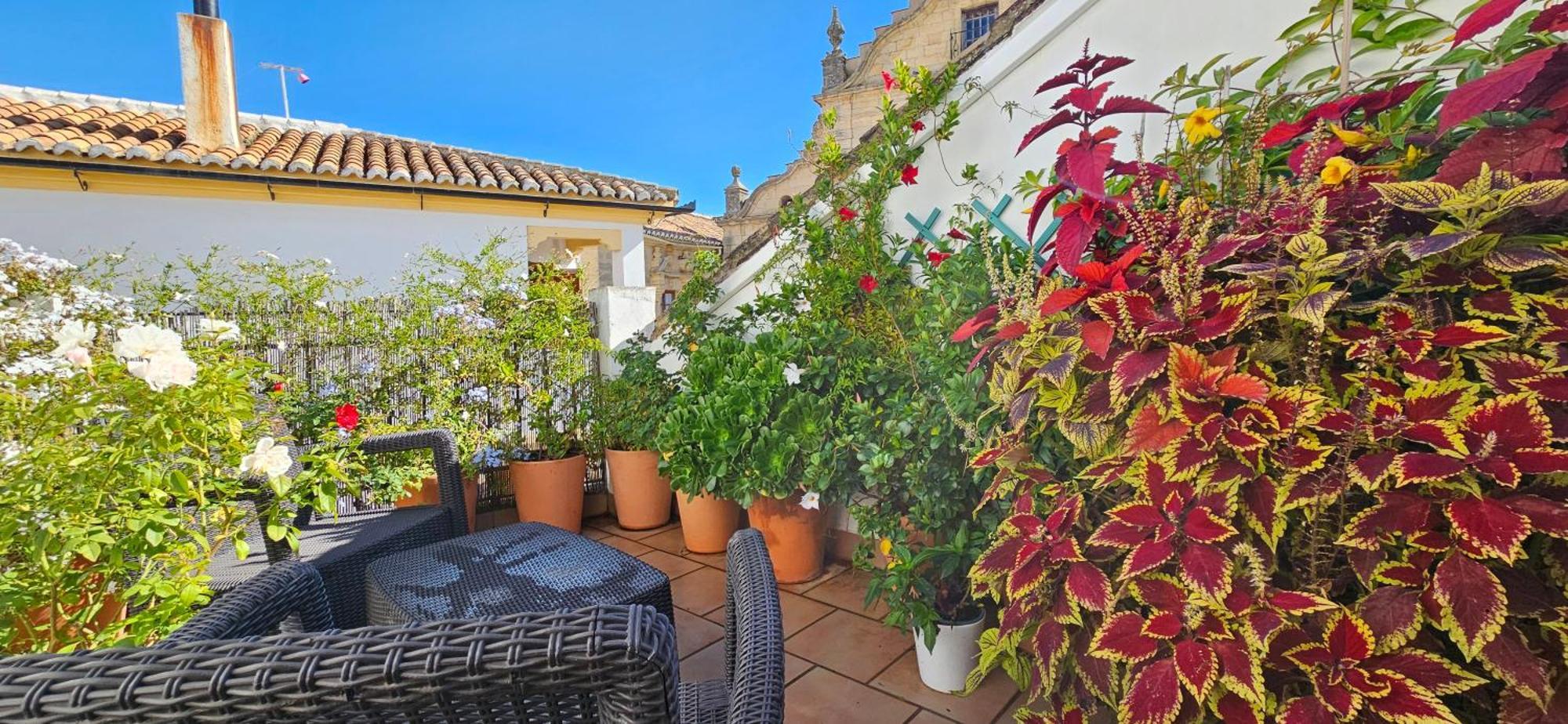 Apartamentos Los Descalzos Angel With Private Terrace Free Parking Ронда Экстерьер фото